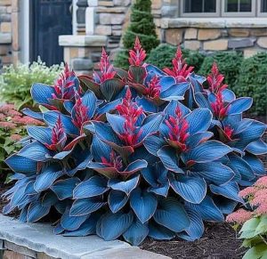 Хоста Грин Фог купить по цене от 669р. в интернет-магазине «Посадика» с доставкой почтой в в Ивантеевкае и по всей России – [изображение №1].